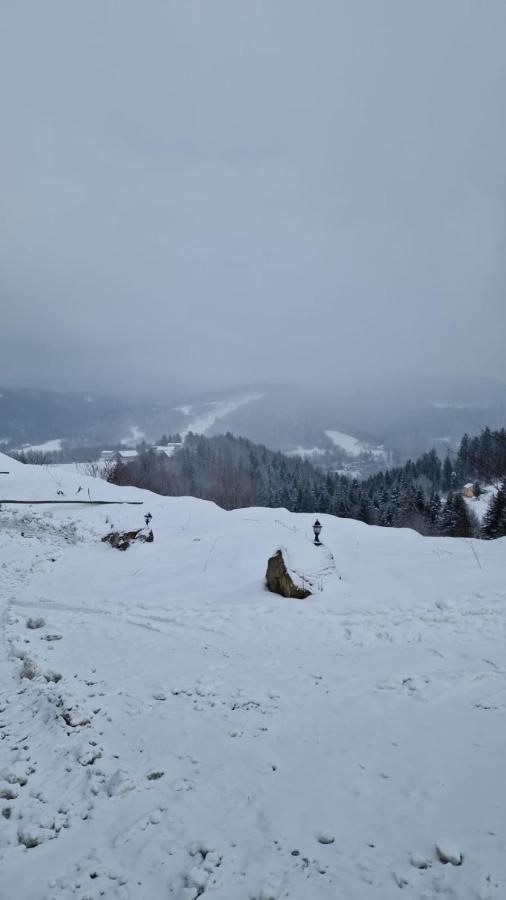 Rezydencja Nad Potoczkiem Wisła Esterno foto